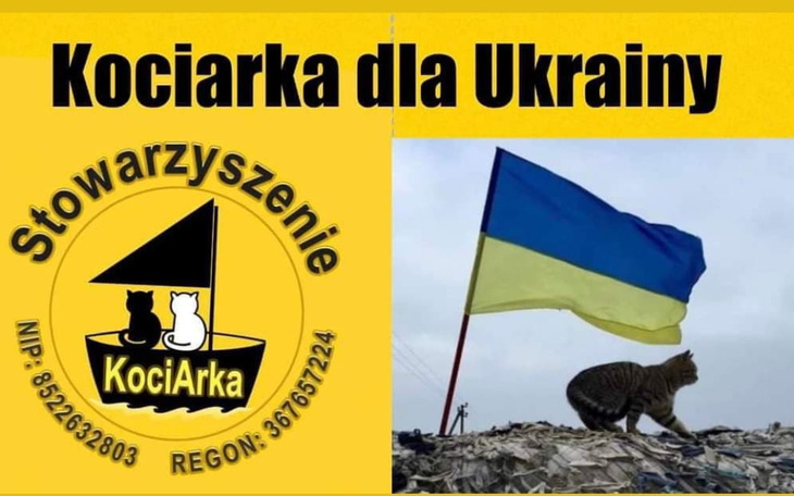 Zbiórka SZCZECIN RATUJE koty z Ukrainy - zdjęcie główne