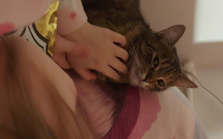 Zbiórka Operacja Felci - zdjęcie główne