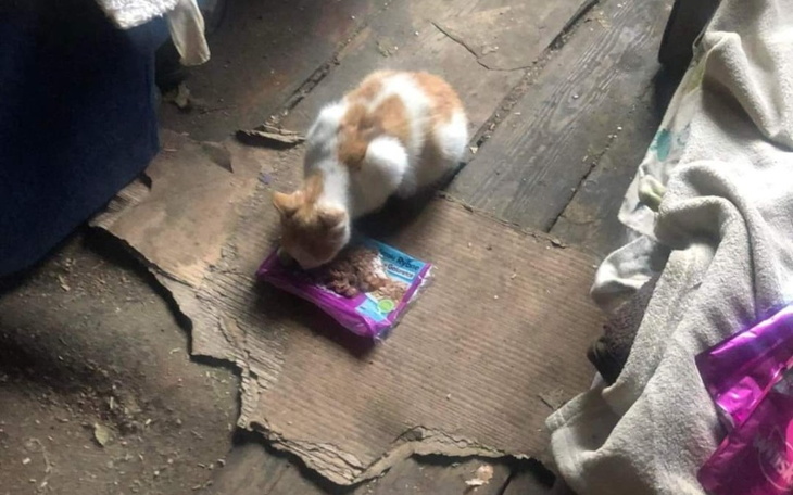 Zbiórka By mogły godnie żyć - zdjęcie główne