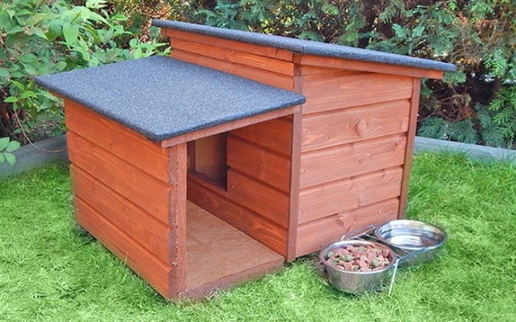 Zbiórka BUDA dla psa z INTERWENCJI - zdjęcie główne