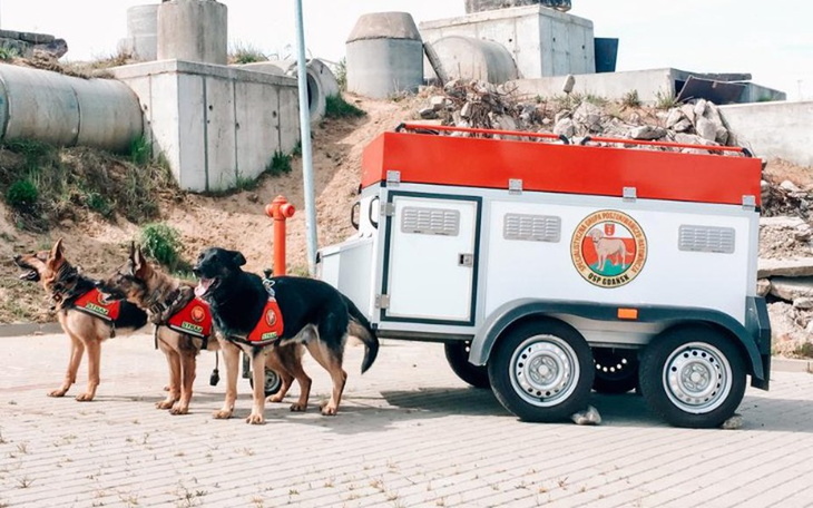 Zbiórka Napęd na 4 łapy - zdjęcie główne