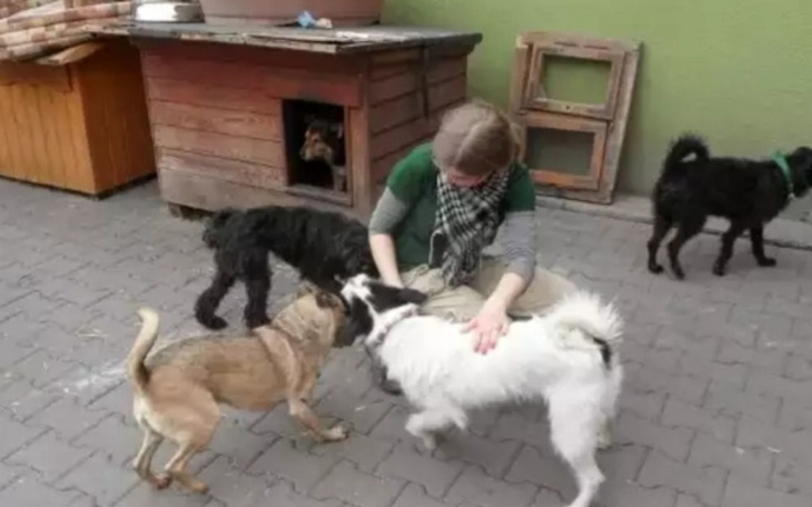 Zbiórka Karma dla schroniska Zabrze - zdjęcie główne