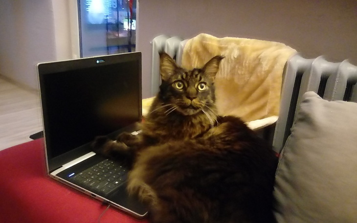 Zbiórka Ocalmy Demona - zdjęcie główne