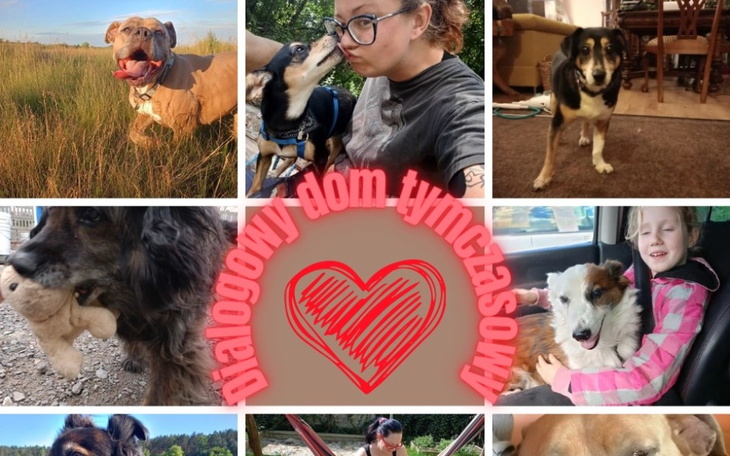 Zbiórka Aby jutro mogło nadejść - zdjęcie główne