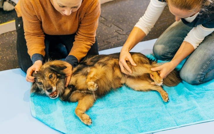 Zbiórka na_rehabilitacje_Maćka - zdjęcie główne