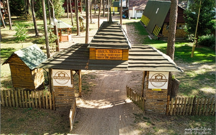 Widok na psa siedzącego na ziemi w promieniach słońca.