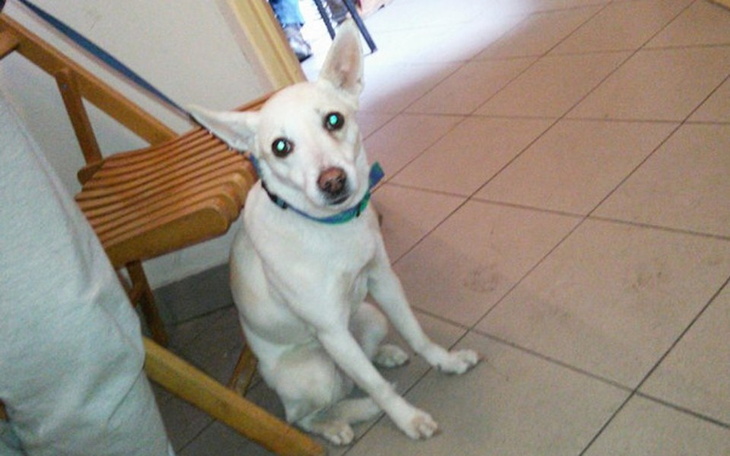 Zbiórka Trudna sytuacja życiowa - zdjęcie główne