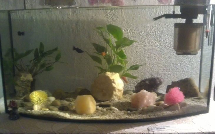 Zbiórka Marzenie z młodszych lat - zdjęcie główne