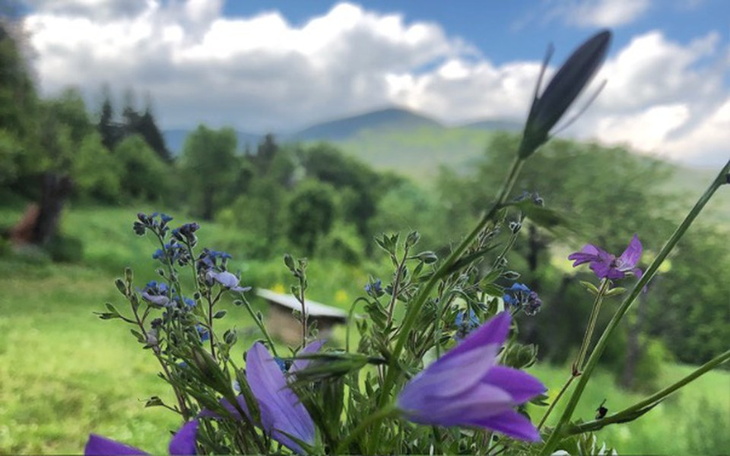 Zbiórka Marzenie naszego życia - zdjęcie główne