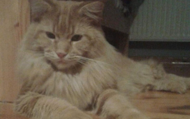 Zbiórka Pomoc dla Bońka - zdjęcie główne