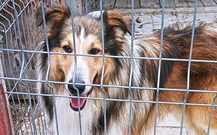 Zbiórka Lavi Epilepsja - zdjęcie główne