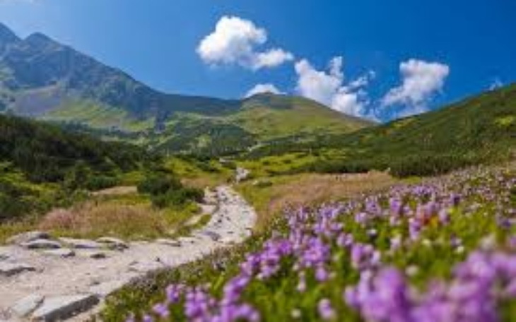 Zbiórka Wymarzona wycieczka w góry. - zdjęcie główne