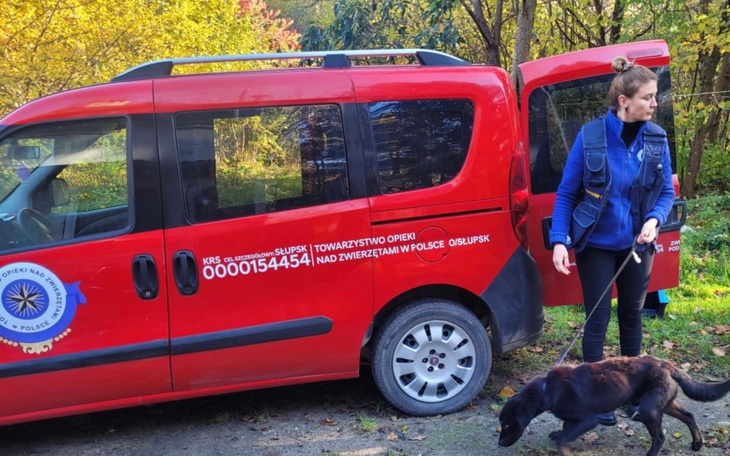 Wolontariusz spacerujący z psem obok czerwonego samochodu.