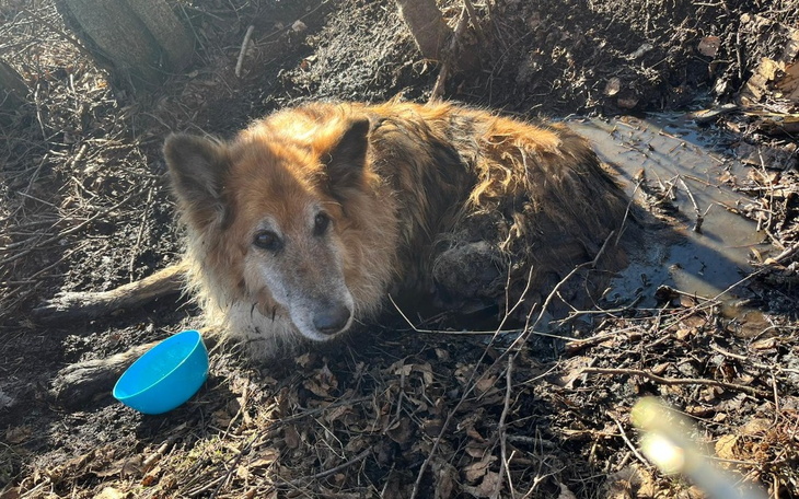Zbiórka Na ratunek i interwencje - zdjęcie główne