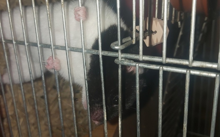 Zbiórka Potrzebne pilnie to tylko 100 zł - zdjęcie główne