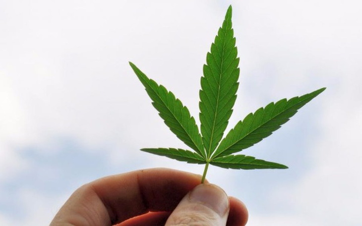 Zbiórka Dług głupoty - zdjęcie główne