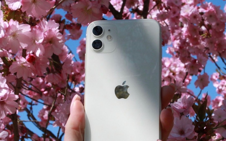 Zbiórka Pomoc w zebraniu na telefon - zdjęcie główne