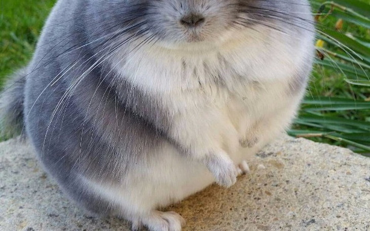 Zbiórka Mam 19 lat potrzebuje pomocy - zdjęcie główne