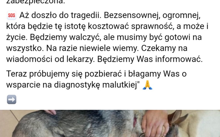 Zbiórka Kailm Norkowski - zdjęcie główne