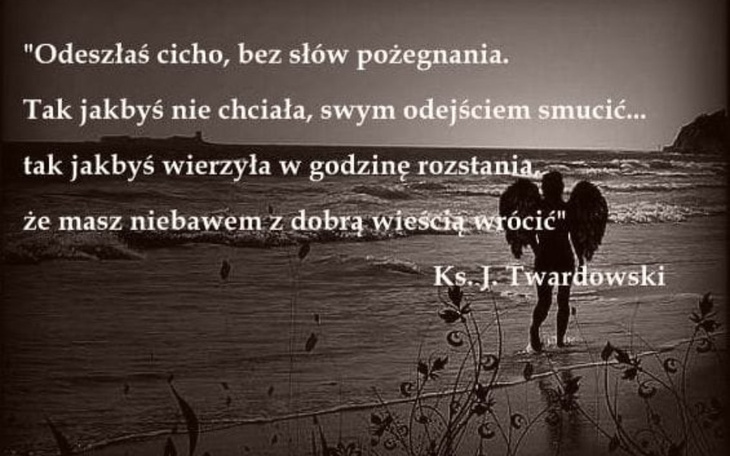 Zbiórka Zbiórka dla sierot - zdjęcie główne