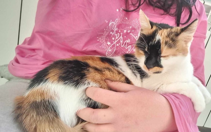 Zbiórka Komfortowa starość Tusi - zdjęcie główne