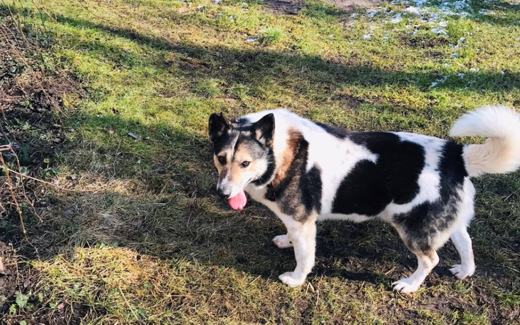 Zbiórka Atos z Radys ciągle bez pomocy - zdjęcie główne