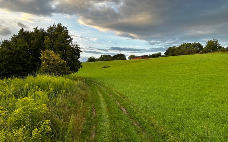Zbiórka Karma dla psów schroniskokojec - zdjęcie główne