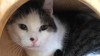 Zbiórka Kiro - miniaturka zdjęcia