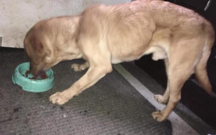 Zbiórka Chory na raka ojciec z pseudo. - zdjęcie główne