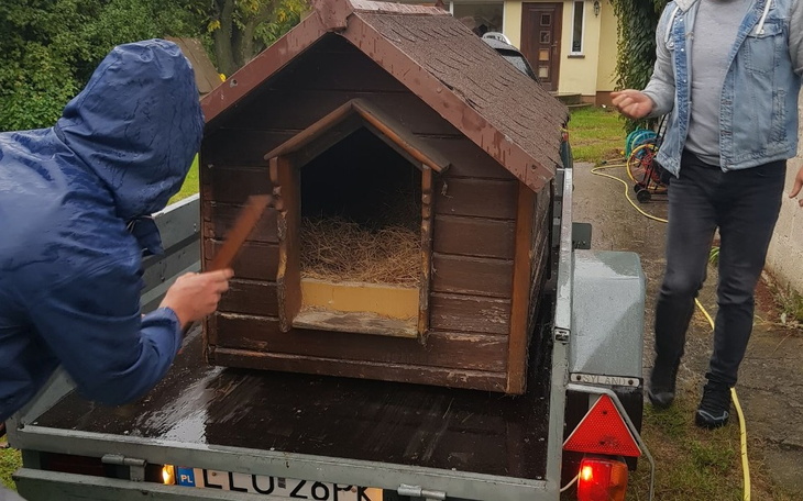 Zbiórka Odbiór budy ze Świdnika - zdjęcie główne
