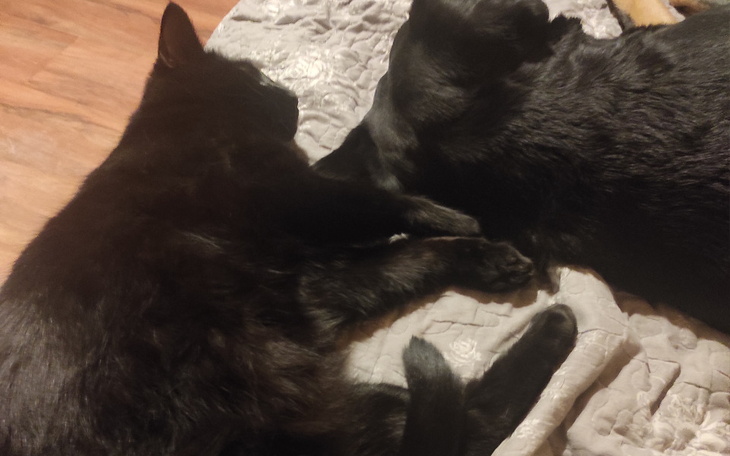 Zbiórka Na życie Pilne - zdjęcie główne