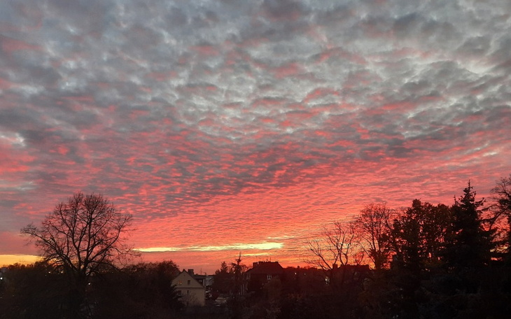 Zbiórka Na uatko - zdjęcie główne