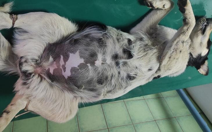 Zbiórka Aby bezdomności było mniej ... - zdjęcie główne