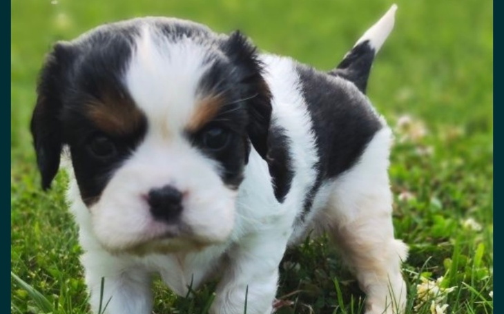 Zbiórka Prezent urodzinowy dla córki - zdjęcie główne