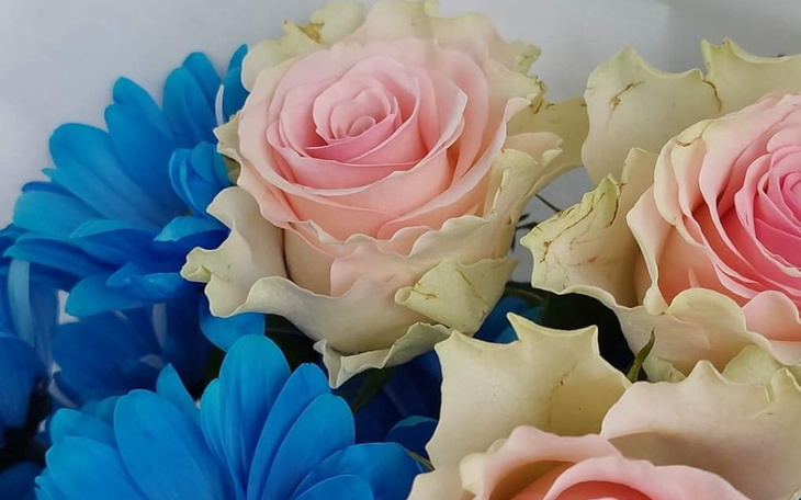 Zbiórka Na pokarm - zdjęcie główne