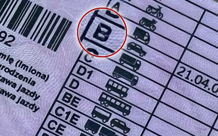 Zbiórka Marzenie -B - zdjęcie główne