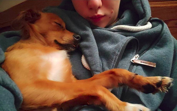 Zbiórka Max i Figa na jedzenie i zdrowie - zdjęcie główne