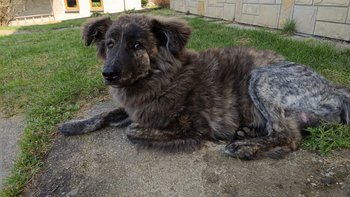 Zbiórka Kolejna operacja Klimka - miniaturka zdjęcia