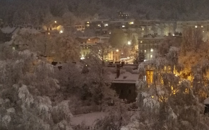 Zbiórka Karma na Zime - zdjęcie główne