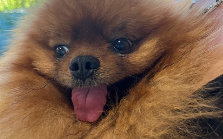 Zbiórka Na rezonans dla Leo - zdjęcie główne