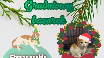 Zbiórka Grudniowy Bazarek 25 - miniaturka zdjęcia