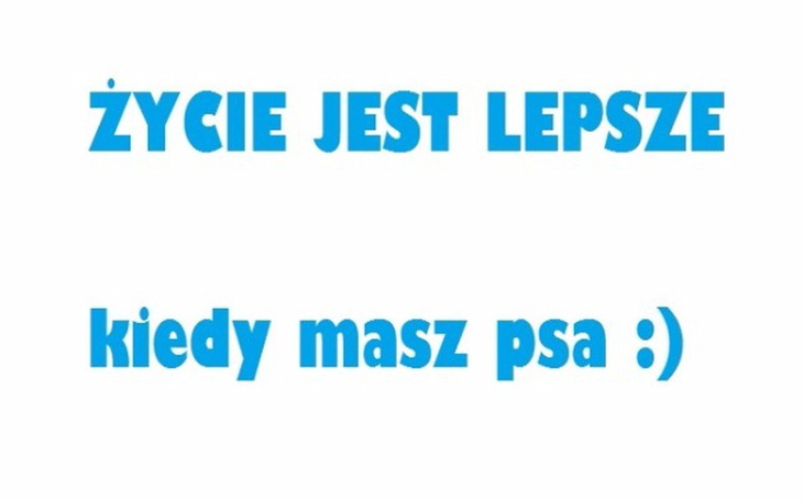 Zbiórka OPERACJA kochanego Pieska - zdjęcie główne