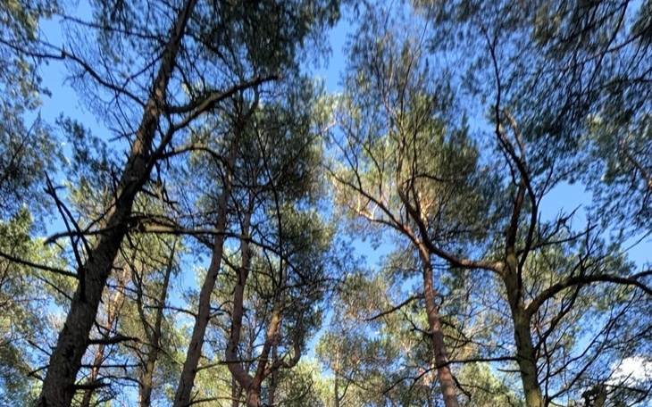 Zbiórka pieniążki na realizację marzenia - zdjęcie główne