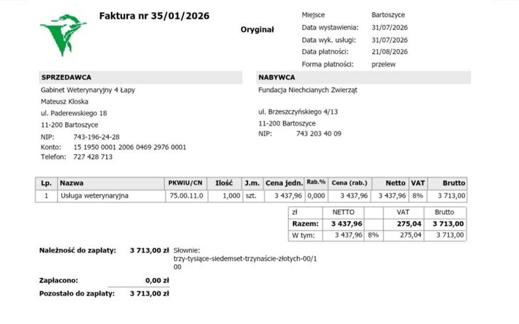 Biały kotek na białym dywanie, zabawy