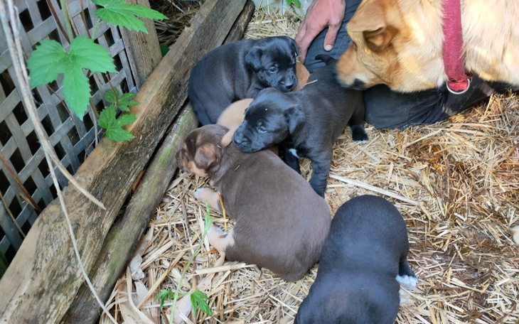 Zbiórka Uratuj Nas przed śmiercią - zdjęcie główne