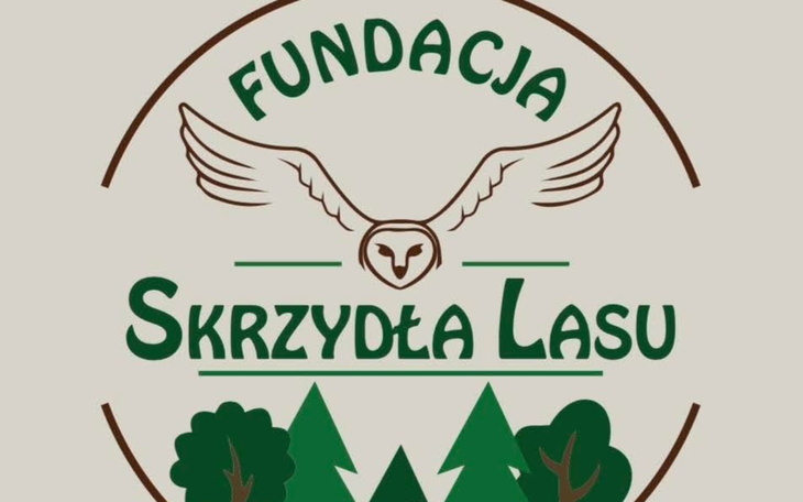 Logo fundacji z sową i drzewami, w zielonych odcieniach.