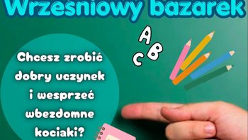 Zbiórka Wrześniowy Bazarek 26 - miniaturka zdjęcia