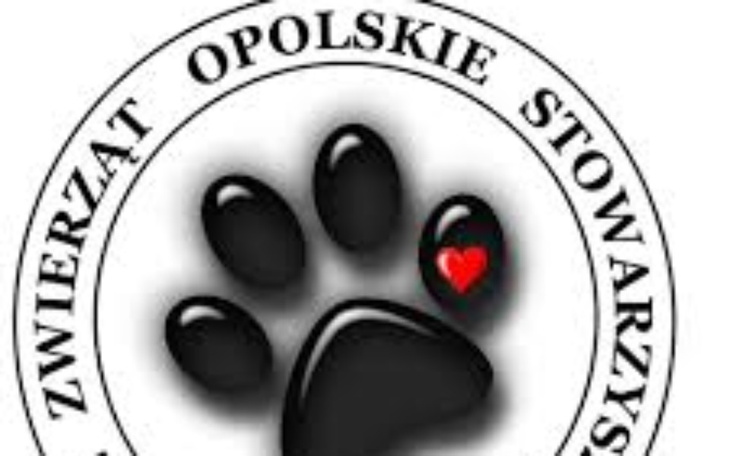 Zbiórka dla 4 nogich przyjaciół - zdjęcie główne