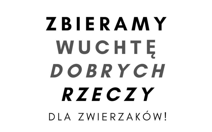 Zbiórka Na karmę dla psiaków - zbiórka - zdjęcie główne