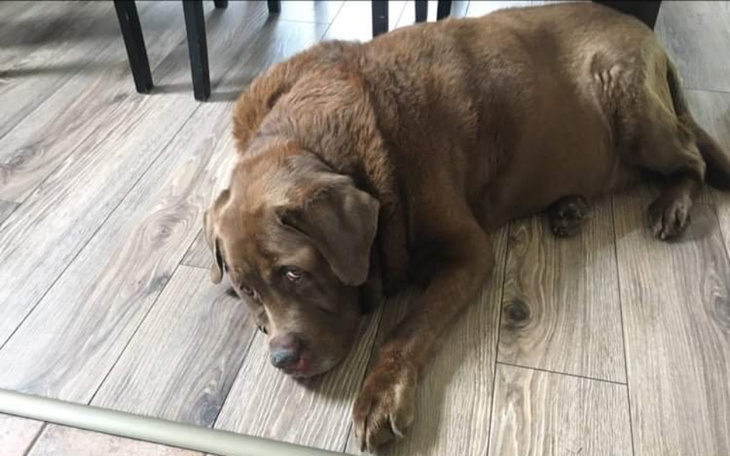 Zbiórka Nierówna wojna z rakiem - zdjęcie główne